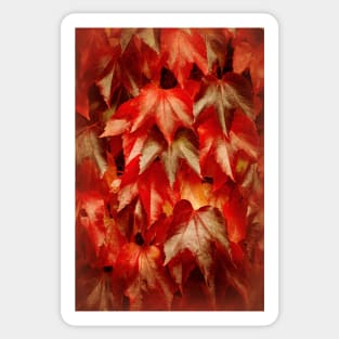 Autumn Splendour Sticker